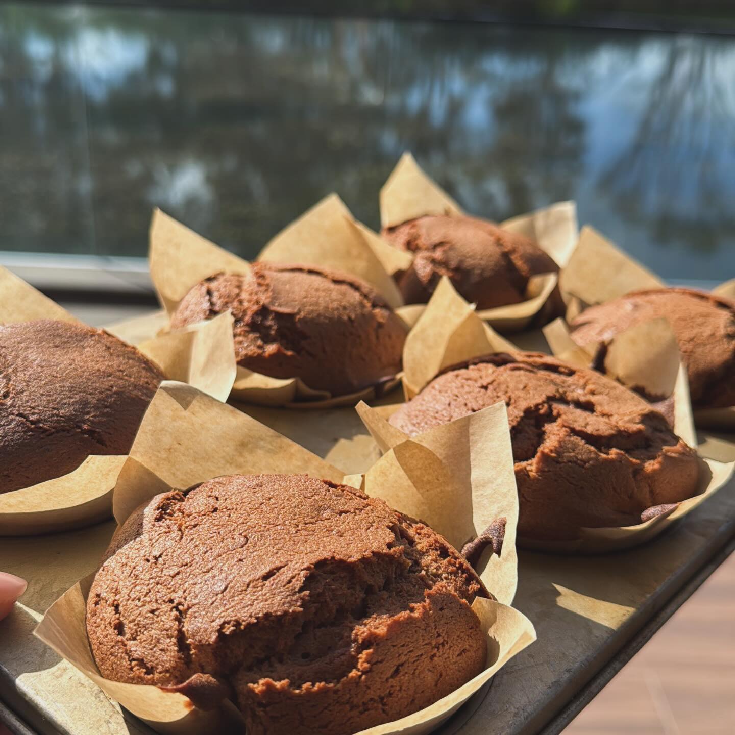 Freshly baked chocolate muffins by the window